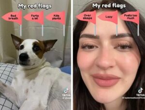 Read more about the article How To Use Red Flag Filter On TikTok