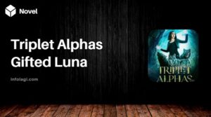 Read more about the article Read Triplet Alphas Gifted Luna PDF Novel Full Episode